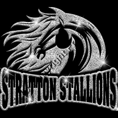 GLT32 SILVER GLITTER Thumbnail